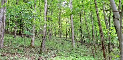 Property in Upshur County, West Virginia