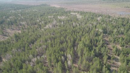 Property in Marquette County, Michigan