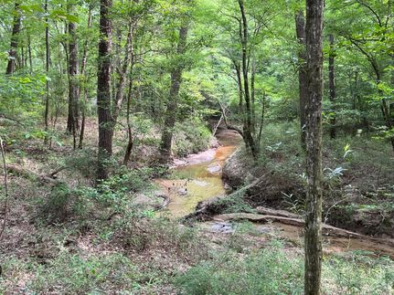 Property in Crenshaw County, Alabama