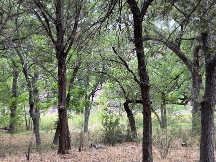 Property in Llano County, Texas