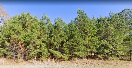 Property in Orangeburg County, South Carolina