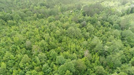 Property in Butler County, Alabama