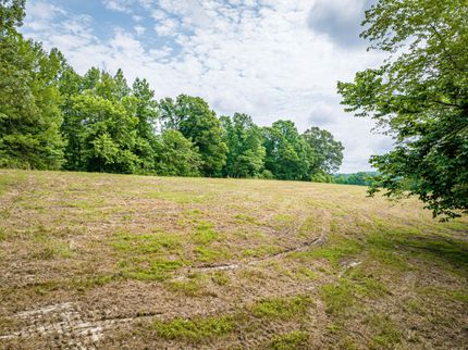 Property in Henderson County, Tennessee
