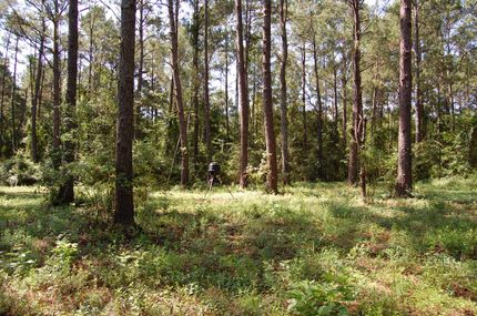 Property in Colquitt County, Georgia