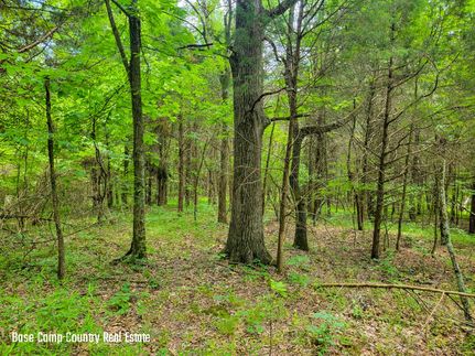 Property in Webster County, Kentucky