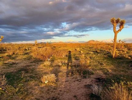 Property in San Bernardino County, California