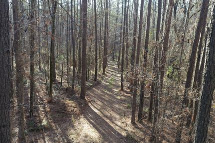 Property in Tangipahoa Parish, Louisiana