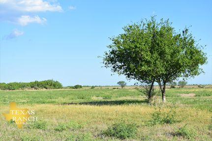 Property in Bee County, Texas