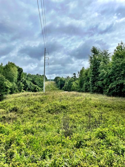 Property in Twiggs County, Georgia