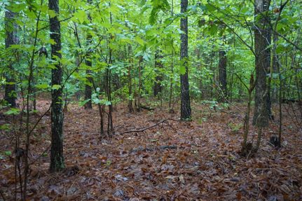 Property in York County, South Carolina
