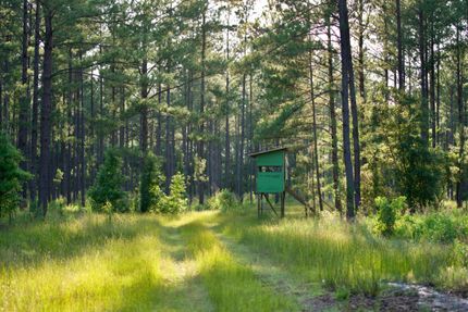 Property in Colleton County, South Carolina