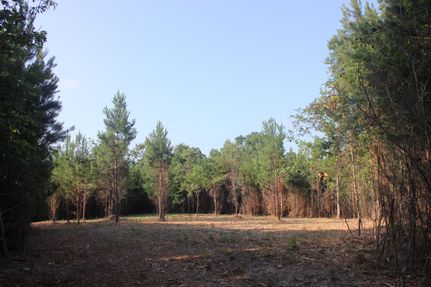 Property in Angelina County, Texas