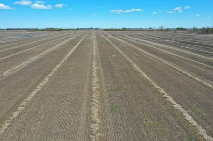 Property in Towner County, North Dakota