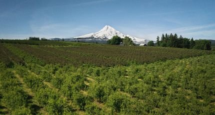 Property in Hood River County, Oregon