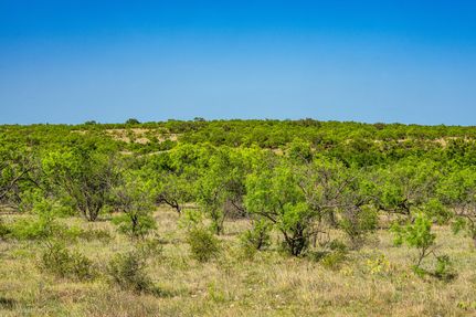 Property for sale in Coleman County, Texas