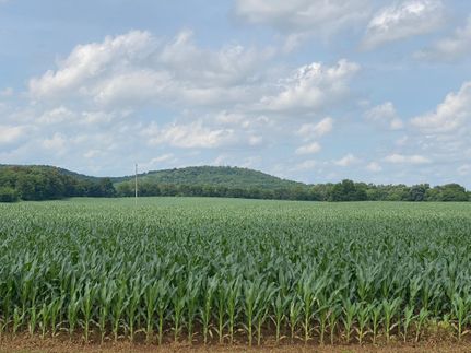 Property in Simpson County, Kentucky