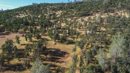 Property in Tehama County, California