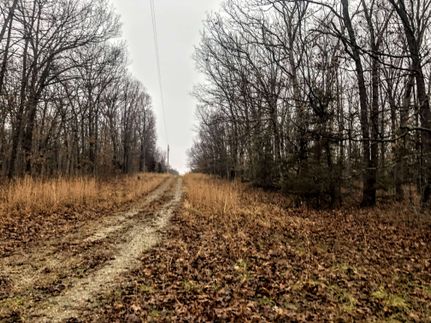 Property in Hickory County, Missouri