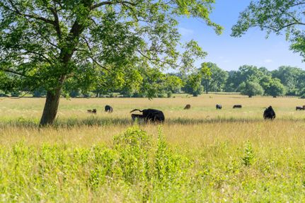 Property in Atoka County, Oklahoma