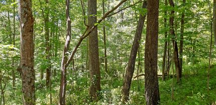 Property in Roane County, West Virginia