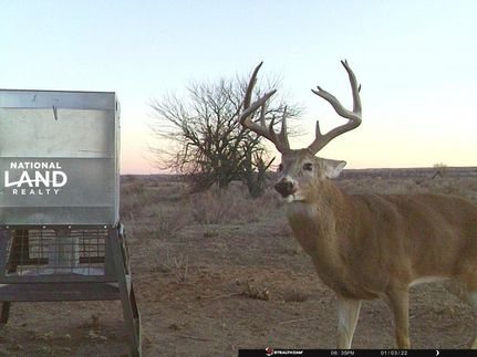 Property in Beaver County, Oklahoma