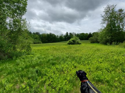 Property in Merrimack County, New Hampshire