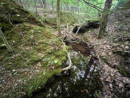 Property in Hickman County, Tennessee