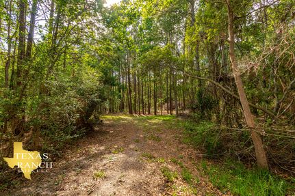 Property in Chambers County, Texas