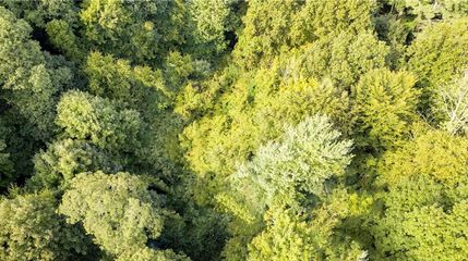 Property in Westchester County, New York