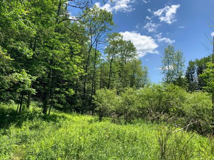 Property in Herkimer County, New York