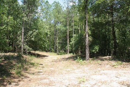 Property in Richmond County, Georgia