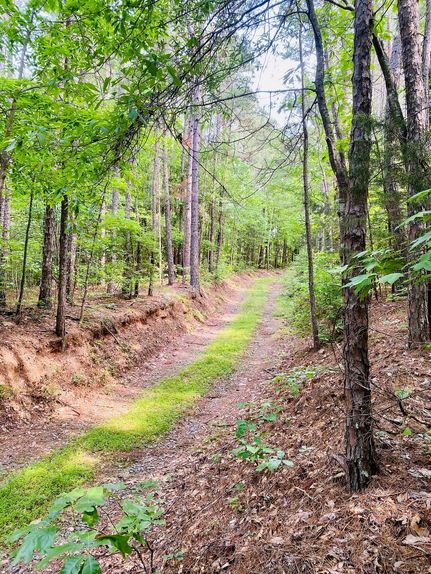 Property in Alcorn County, Mississippi