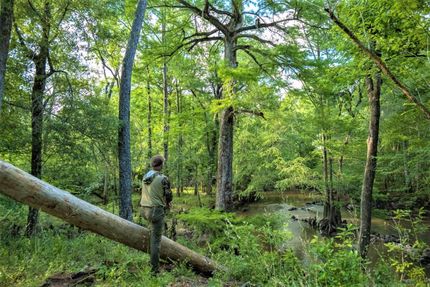 Property in Calhoun County, Georgia
