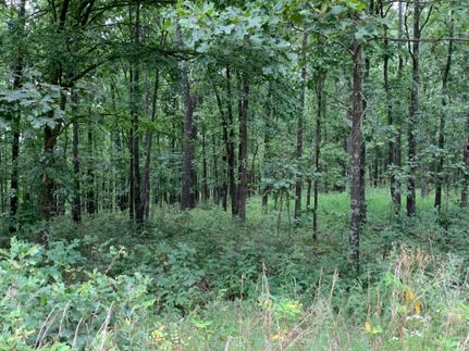 Property in Camden County, Missouri