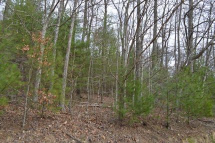 Property in Craig County, Virginia