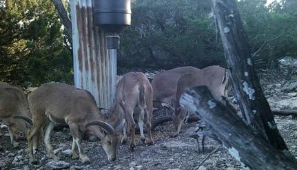 Property for sale in Edwards County, Texas