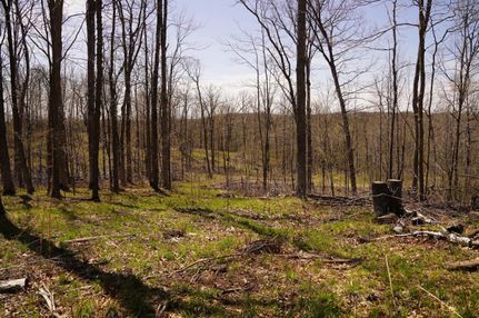 Property in Washburn County, Wisconsin