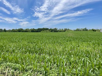 Property in Franklin County, Illinois