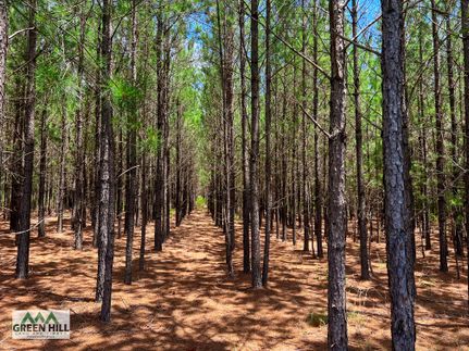 Property in Marion County, Georgia