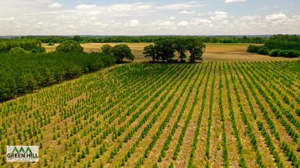 Property in Marion County, Georgia