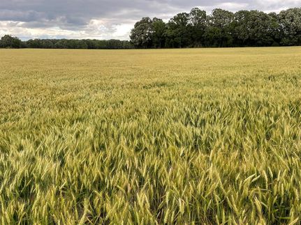 Property in Gibson County, Tennessee