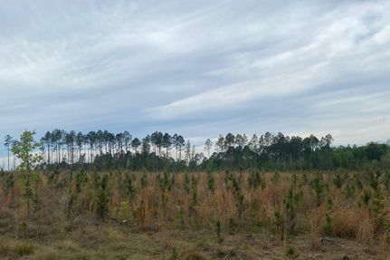 Property in Montgomery County, Georgia