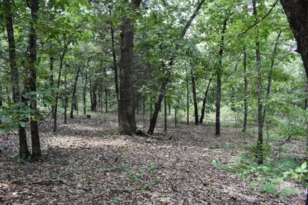 Property in Taney County, Missouri