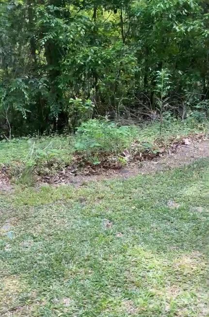 Property in Florence County, South Carolina