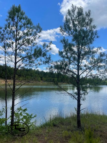 Property in Saint Clair County, Alabama