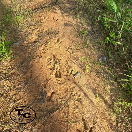 Property in Pickens County, Alabama