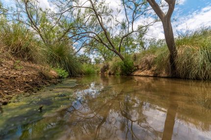 Property in La Salle County, Texas