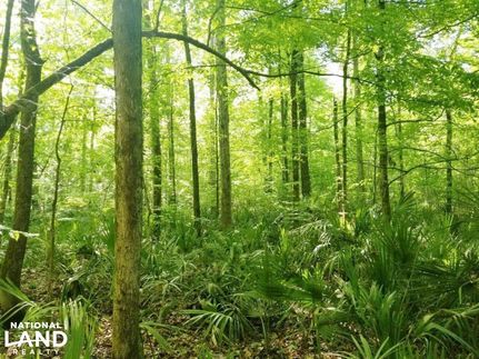 Property in Lowndes County, Alabama