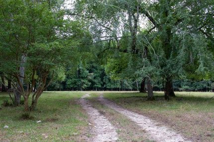 Property in Saluda County, South Carolina