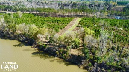 Property in Early County, Georgia